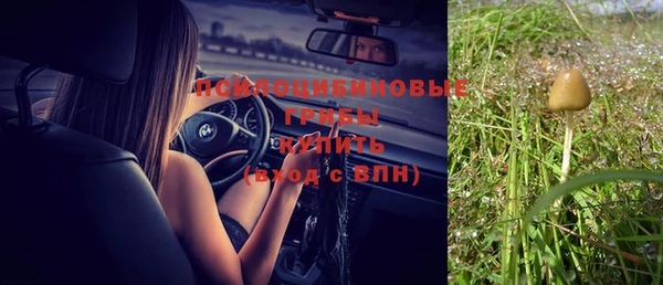 спайс Медногорск