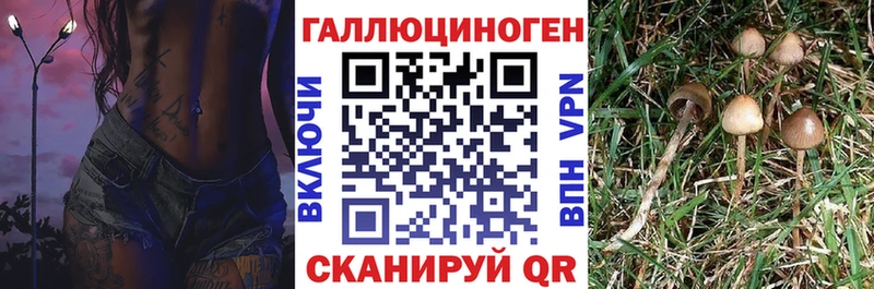 Псилоцибиновые грибы Psilocybe  Алапаевск 