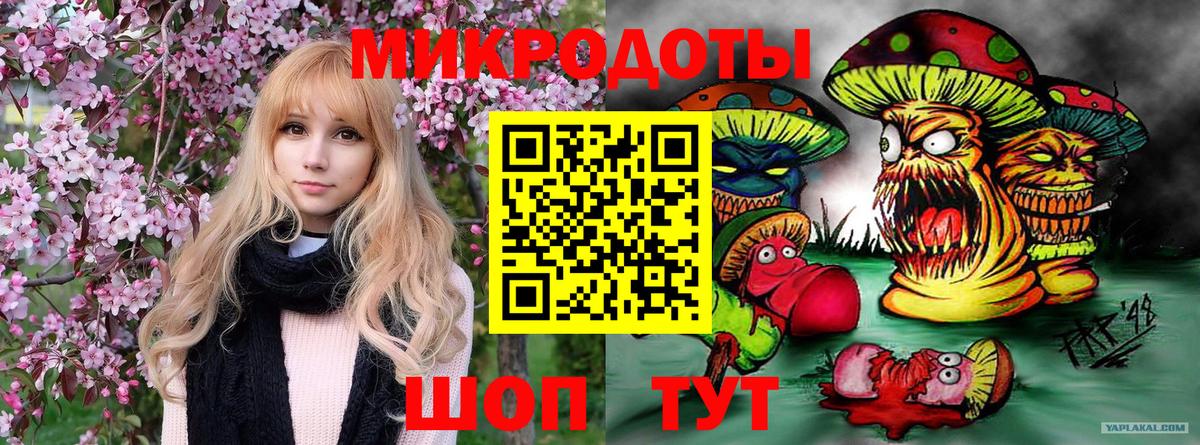 купить наркотики сайты  Галлюциногенные грибы Cubensis  Вход с VPN  Алапаевск 